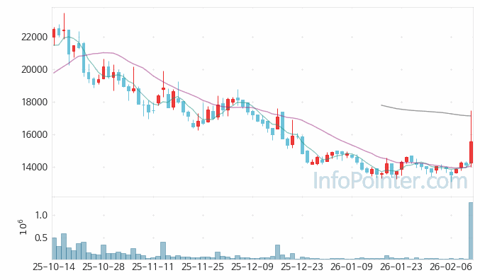 제이피아이헬스케어 주가 전망 키포인트 살펴보기 26.02.12