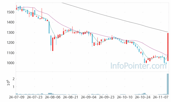대원화성 주가 차트 2024.11.13 (기간 단위 : Day)
