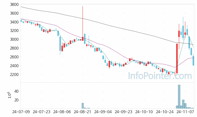 원익홀딩스 주가 차트 2024.11.13 (기간 단위 : Day)