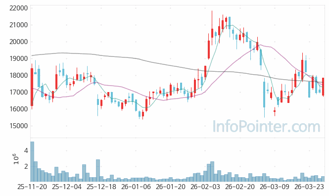 파라다이스 주가 전망 키포인트 살펴보기 26.03.27