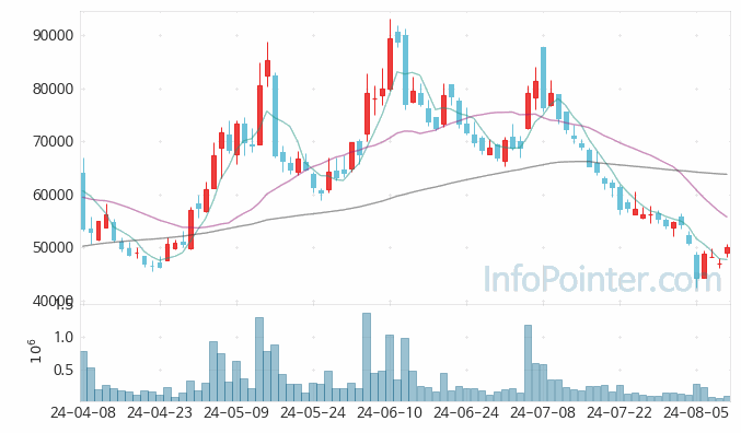 솔브레인홀딩스 주가 차트 2024.08.09 (기간 단위 : Day)