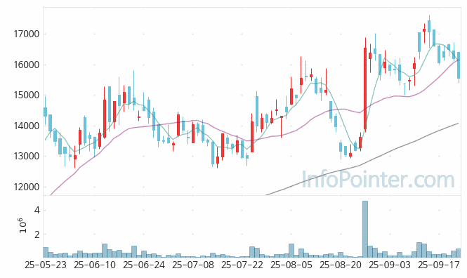 미코 주가 전망 키포인트 살펴보기 25.09.23