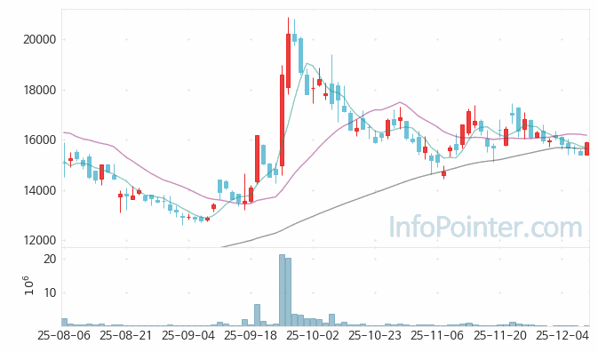 NHN KCP 주가 전망 키포인트 살펴보기 25.12.10