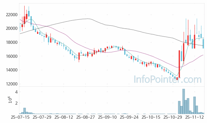 유라클 주가 전망 키포인트 살펴보기 25.11.18