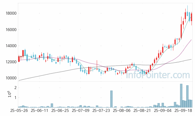 브이엠 주가 전망 키포인트 살펴보기 25.09.24