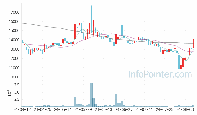 SK오션플랜트 주가 차트 2024.08.14 (기간 단위 : Day)