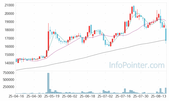 디와이피엔에프 주가 전망 키포인트 살펴보기 25.08.20