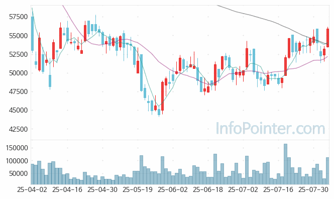 나노신소재 주가 전망 키포인트 살펴보기 25.08.05