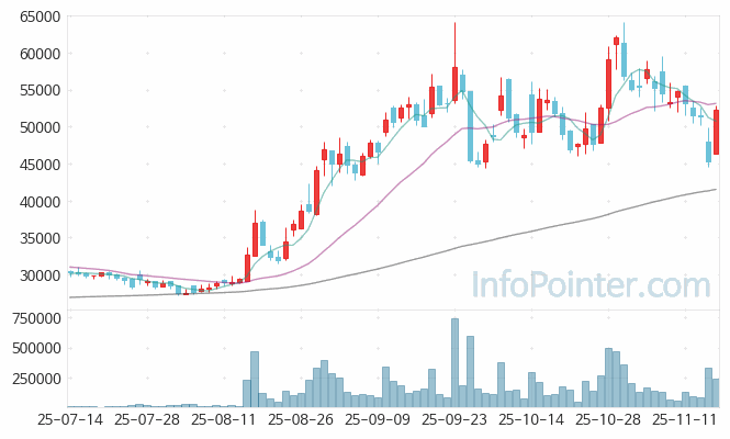비나텍 주가 전망 키포인트 살펴보기 25.11.17