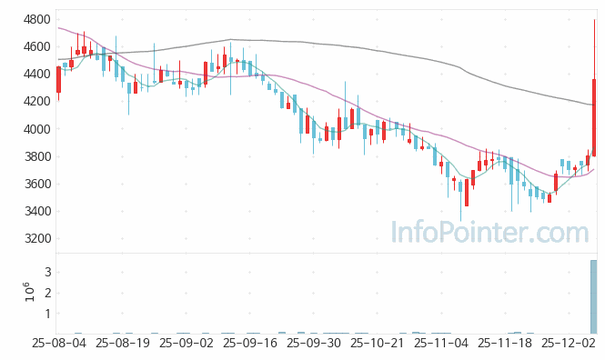 대성하이텍 주가 전망 키포인트 살펴보기 25.12.08