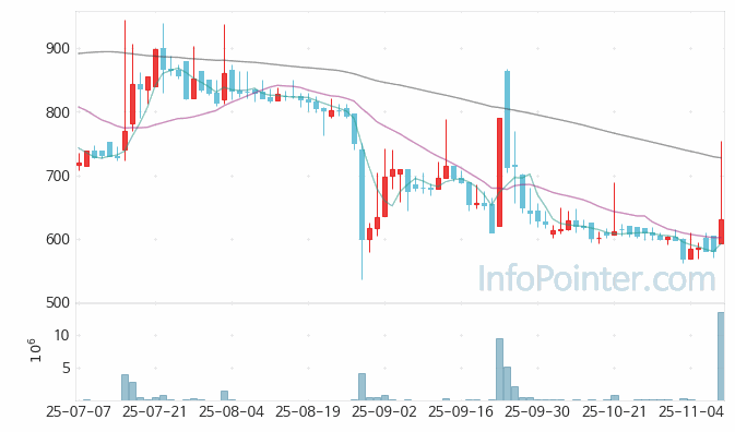 에코글로우 주가 전망 키포인트 살펴보기 25.11.10