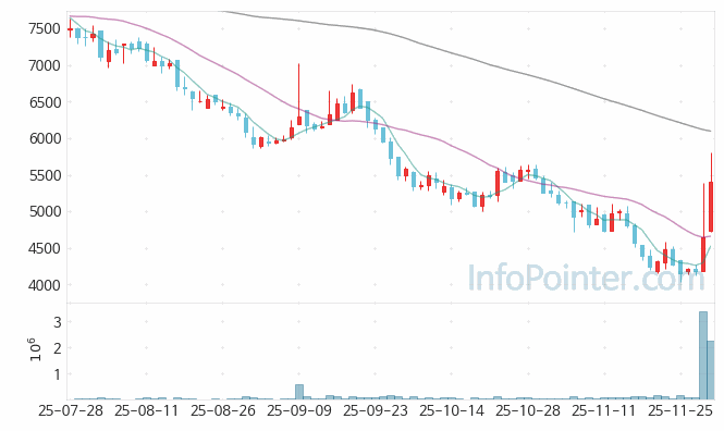 레이 주가 전망 키포인트 살펴보기 25.12.01