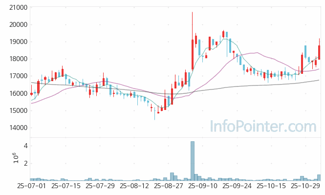 솔루엠 주가 차트 2025.11.04 (기간 단위 : Day)