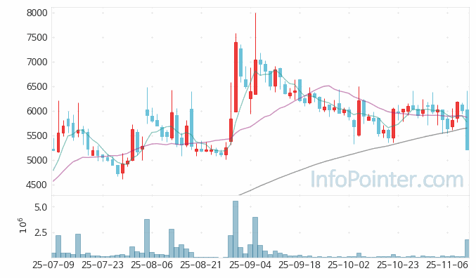 엔에프씨 주가 전망 키포인트 살펴보기 25.11.12