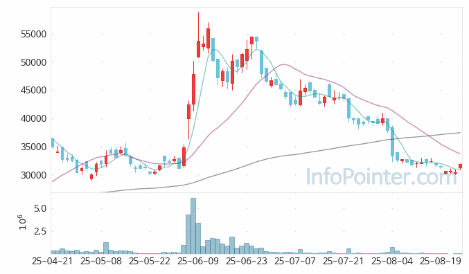 솔트룩스 주가 전망 키포인트 살펴보기 25.08.25