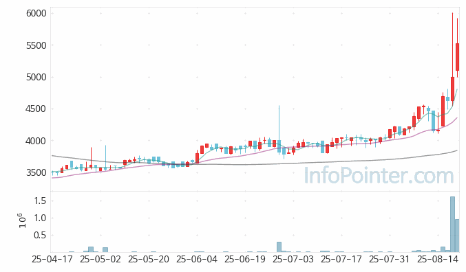 팜스빌 주가 전망 키포인트 살펴보기 25.08.21