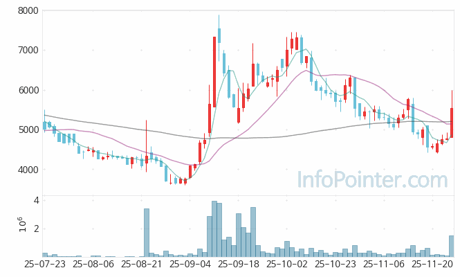 큐라클 주가 전망 키포인트 살펴보기 25.11.26