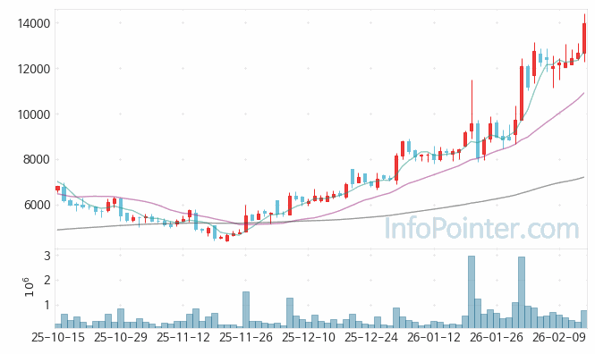 큐라클 주가 전망 키포인트 살펴보기 26.02.13