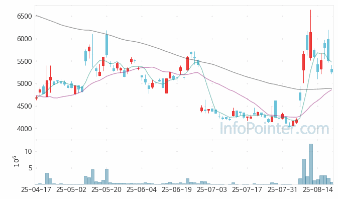 에스와이스틸텍 주가 전망 키포인트 살펴보기 25.08.21