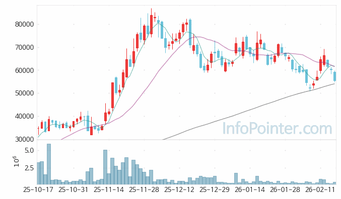 로킷헬스케어 주가 전망 키포인트 살펴보기 26.02.20