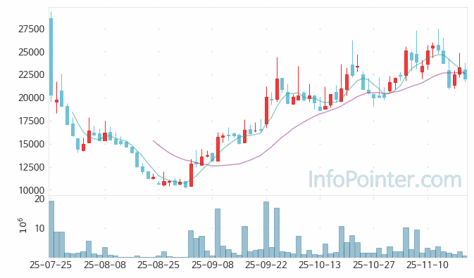 뉴로핏 주가 전망 키포인트 살펴보기 25.11.19