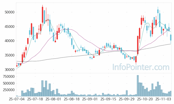 신성에스티 주가 전망 키포인트 살펴보기 25.11.07