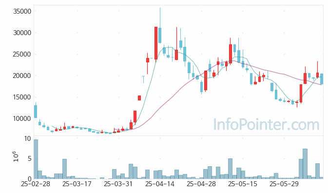 에르코스 주가 차트 2025.06.13 (기간 단위 : Day)