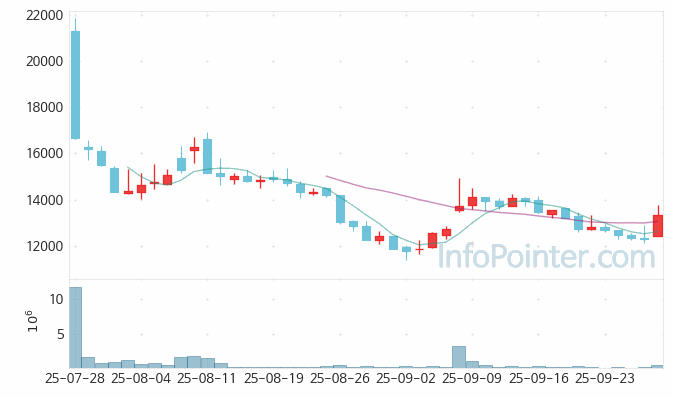 엔알비 주가 전망 키포인트 살펴보기 25.09.29