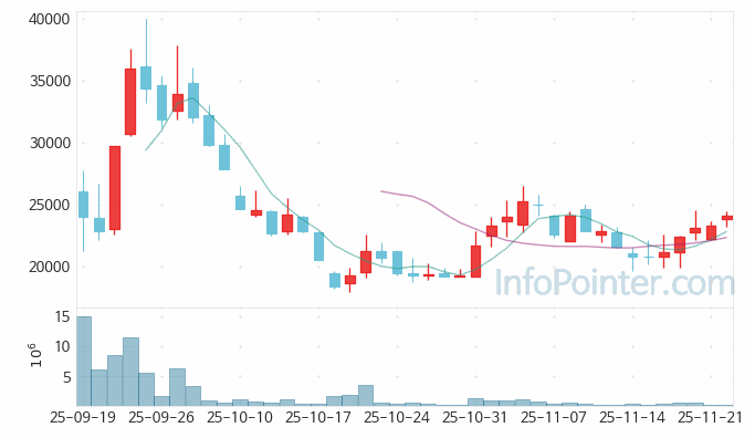 에스투더블유 주가 전망 키포인트 살펴보기 25.11.24