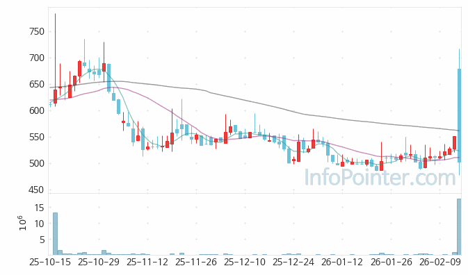 씨엑스아이 주가 전망 키포인트 살펴보기 26.02.13